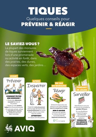 Illustration de l'actualité - cliquer pour agrandir