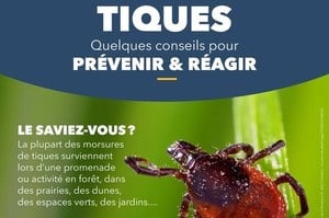 Illustration de l'actualité - cliquer pour agrandir