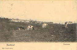  Montbliart - Panorama 