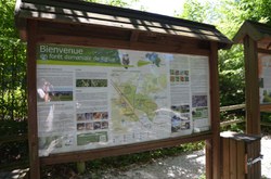 Rance - Forêt Domaniale 
