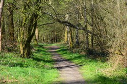 Rance - Forêt Domaniale et ses randonnées balisées 
