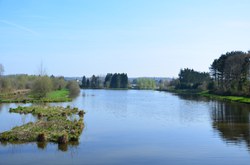  Rance - Etang du moulin 