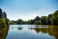  Rance - Etangs communaux 