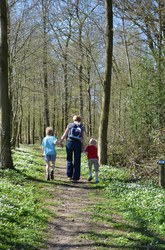  Sautin - Promenade du Bois de Bruyère 