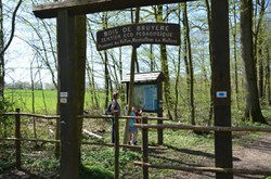  Sautin - Bois de Bruyère 