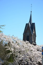  Sautin - Eglise 