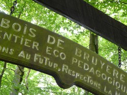  Sautin - Bois de Bruyère 