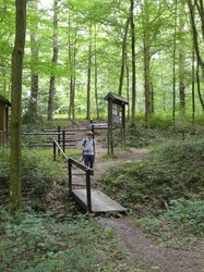  Sautin - Promenade du Bois de Bruyère 