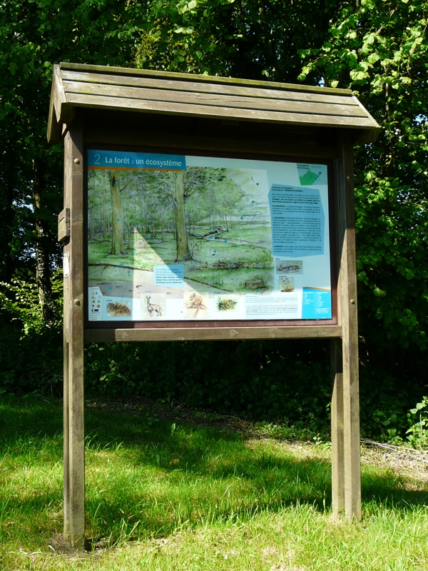 Sautin - Sentier éco-pédagogique du Bois de Bruyère