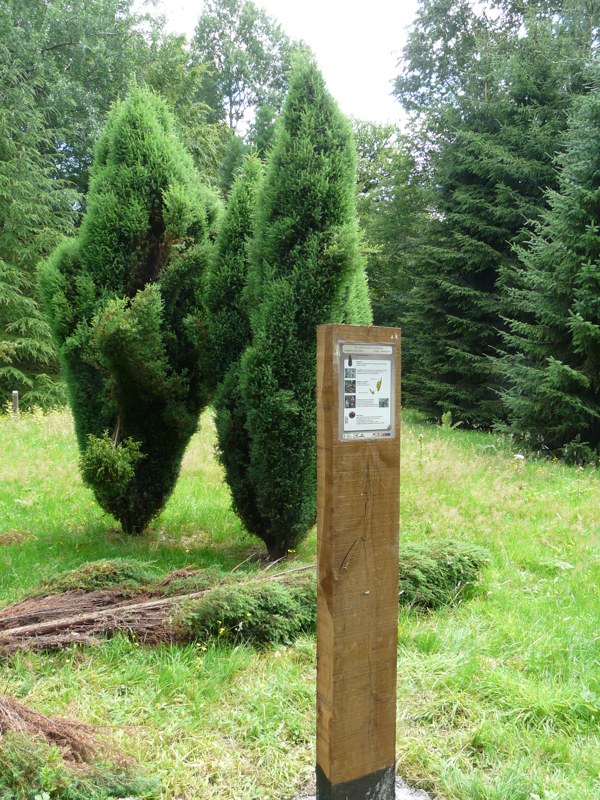 Sautin - Arboretum du Bois de Bruyère