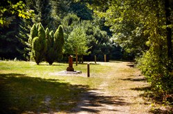  Sautin - Bois de Bruyère 