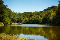  Sivry - Etang du Mont Rosés 