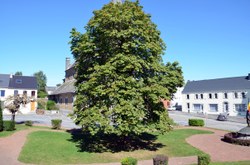 Gîte Le Marronnier - 1 épi