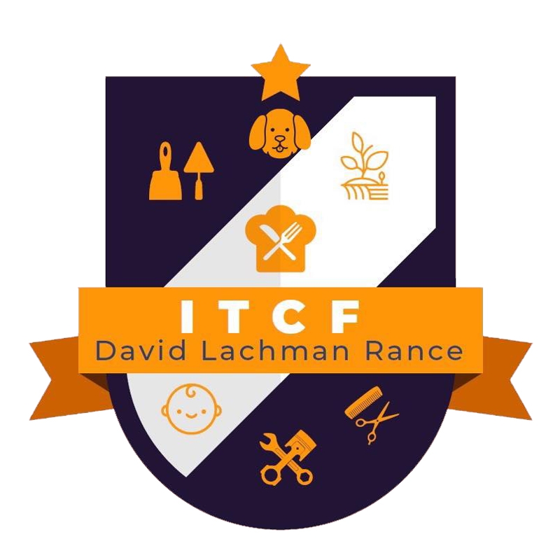 Institut technique de la Communauté Française "David Lachman"