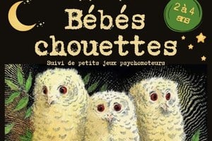 Illustration de l'actualité - cliquer pour agrandir