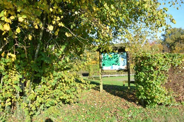 DSC 1609